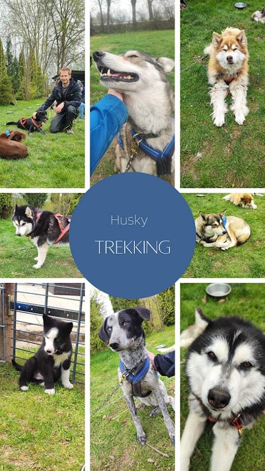 Jahrestag Geschenke - Husky Trekking