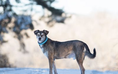 Alte Hobbys wieder aufleben lassen – Kreativität neu entdecken