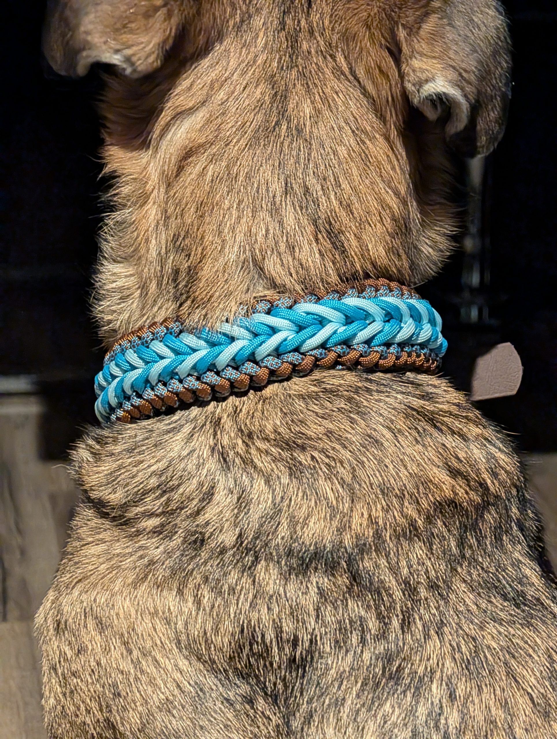 blaues Paracord Hunde Halsband Bennos Happiness