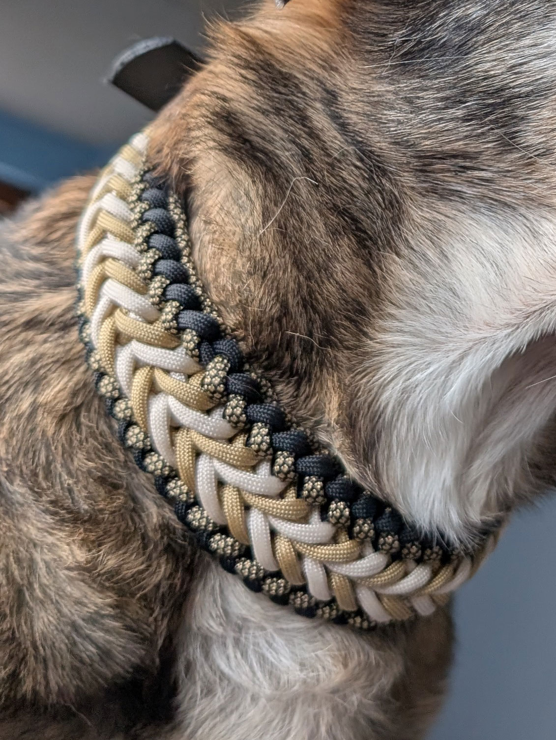 Hundehalsband aus Paracord Bennos Happieness